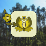 BoryTucholskie.net