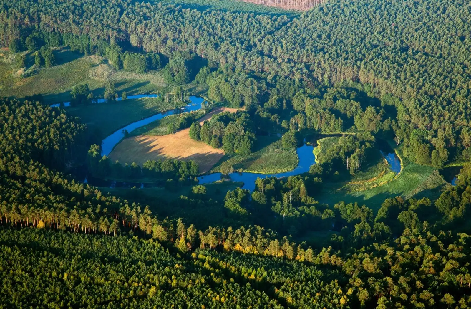 Zakola Brdy pod Tucholą z lotu ptaka