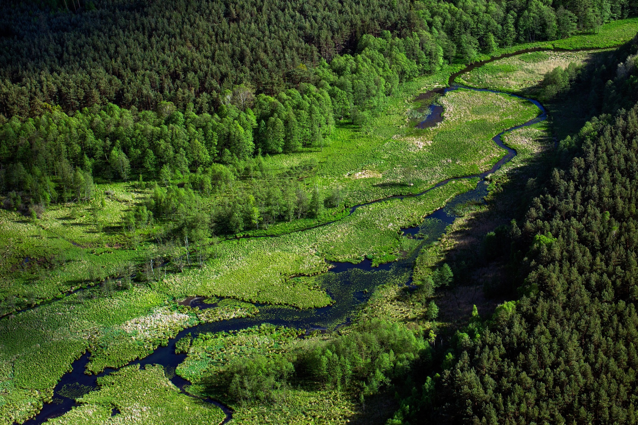 Brda - starorzecze z lotu ptaka, okolice Tucholi - wiosna