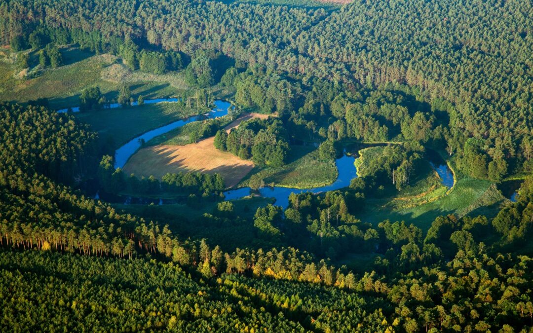 Zaproszenie do… Piekła