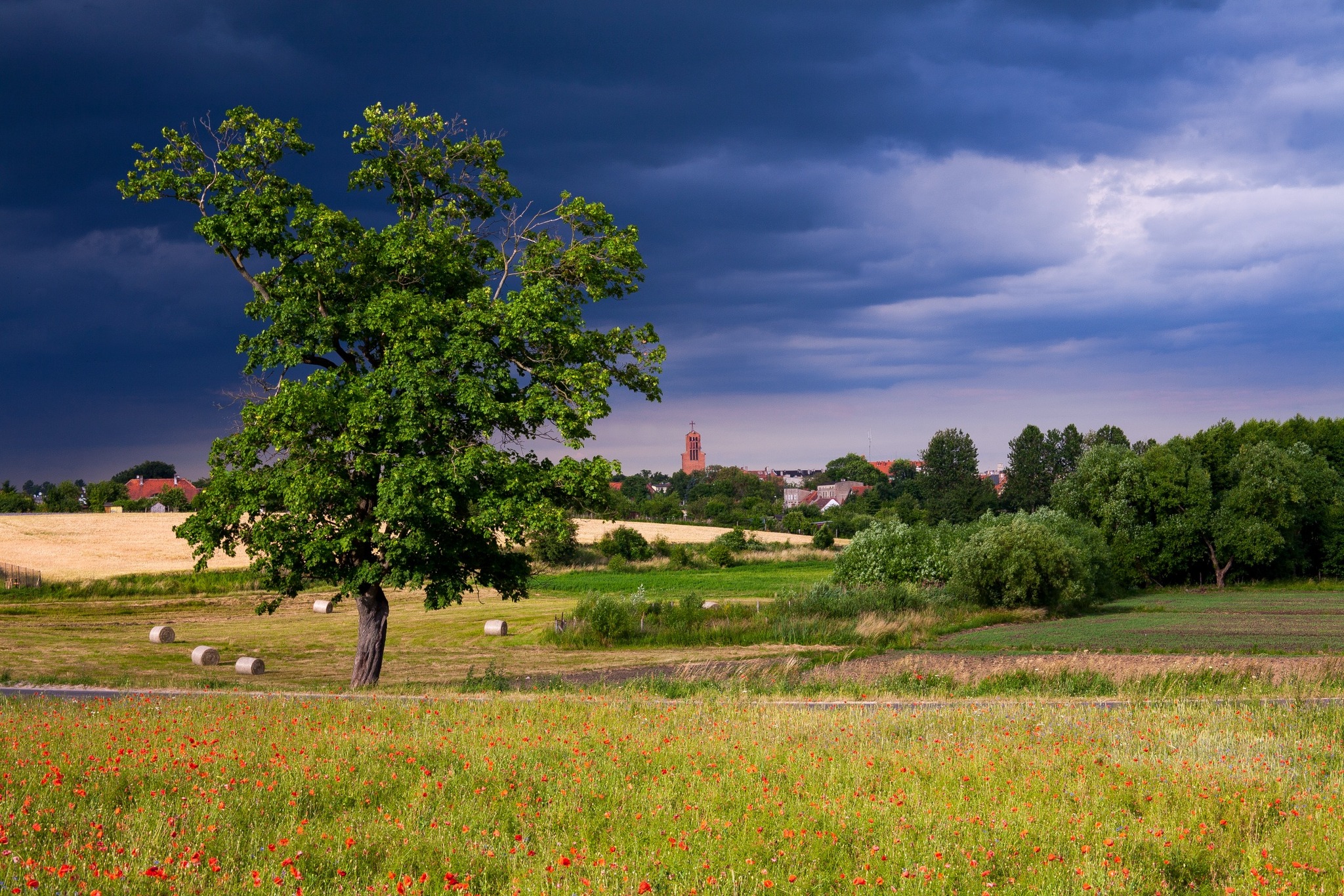 Kościół Bożego Ciała w Tucholi - widok z pól