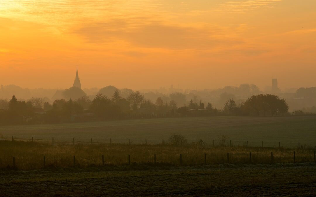 Dlaczego w Bory Tucholskie?